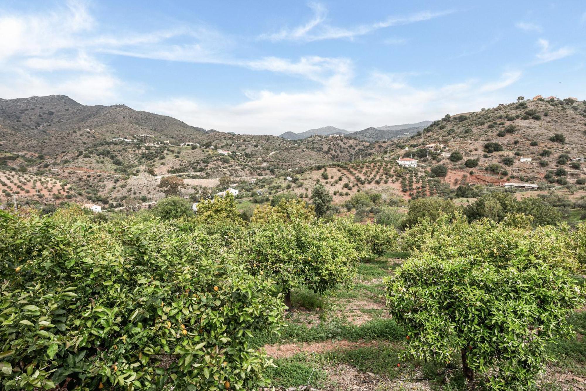 Finca Llano De Fe มาลากา ภายนอก รูปภาพ